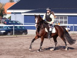 IMG_7186_web